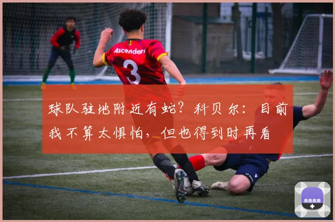 球队驻地附近有蛇？科贝尔：目前我不算太惧怕，但也得到时再看